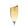 champagneglas ontwerpen