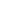 USP icon shipping USP icon shipping